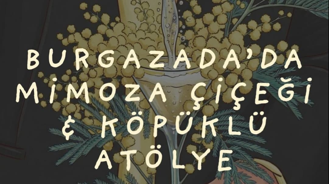 Burgazada’da Mimoza Çiçeği & Köpüklü Atölye