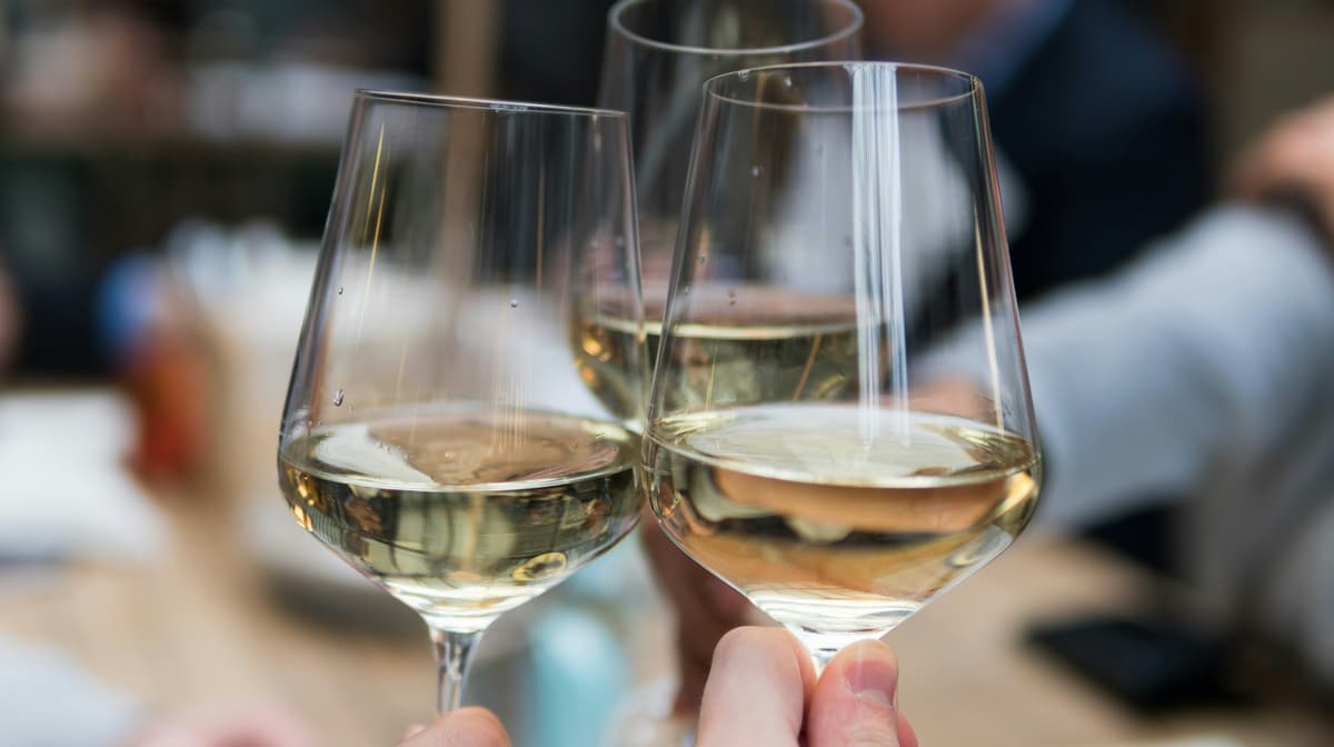 Şarap Tadımı: Ten Seats Bodrum