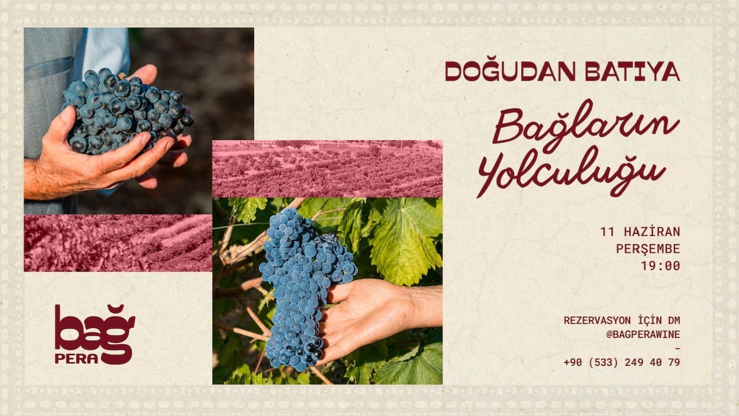 DOĞU’DAN BATI’YA: BAĞLARIN YOLCULUĞU 🍷