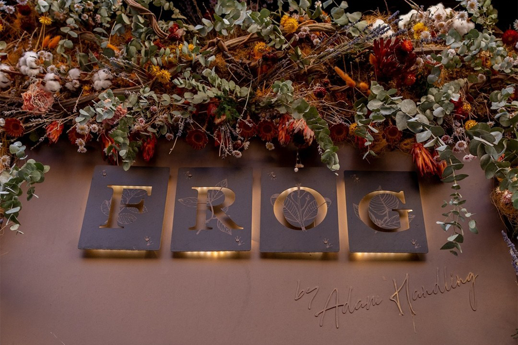 Discovering Frog by Adam Handling