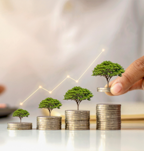 tax and finance management